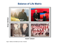 Balance of Life Matrix_1